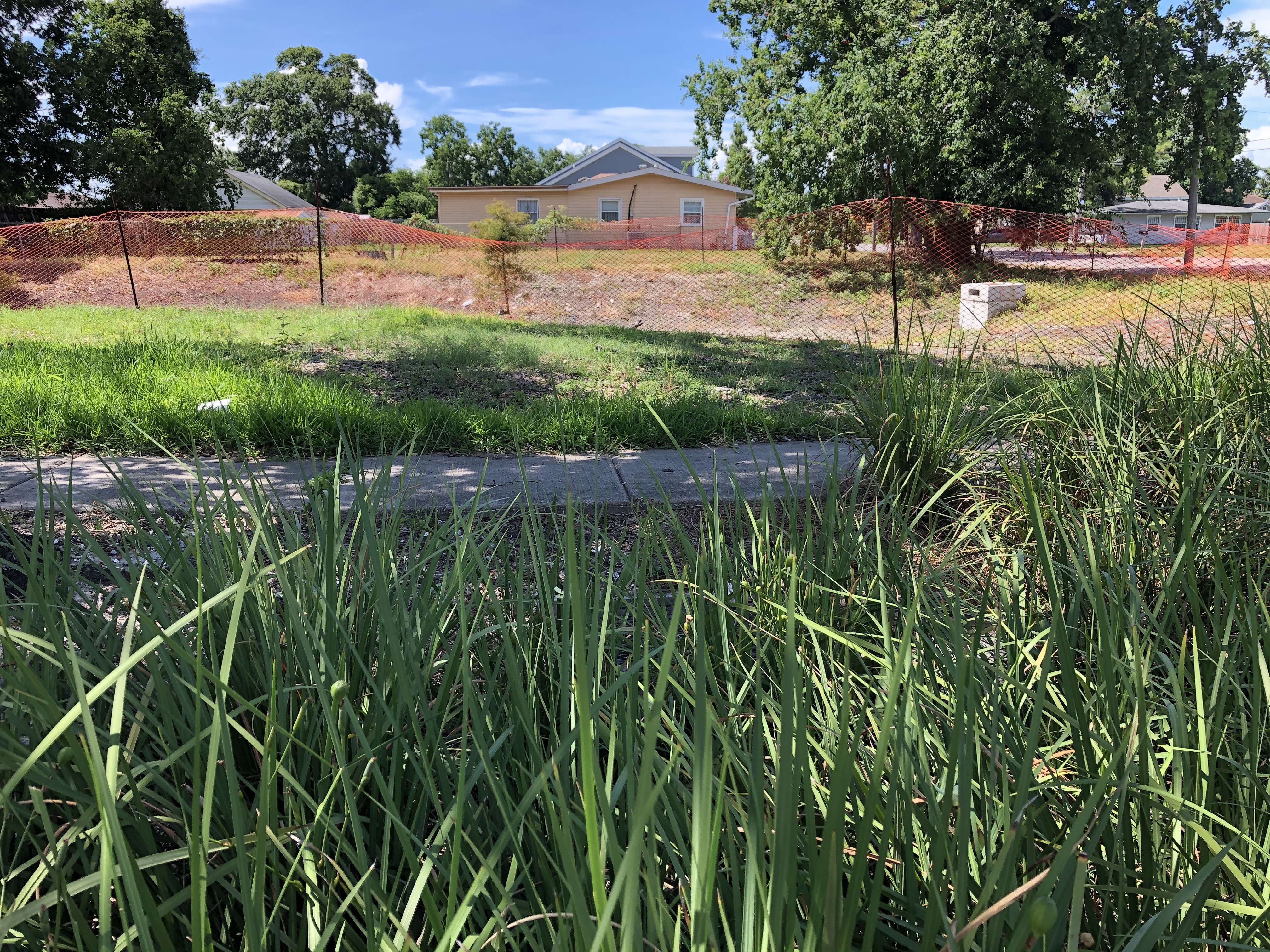 GREEN ALLEYWAYS MOVING INTO PONTCHARTRAIN PARK